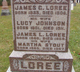 LOREE, James G. and Lucy JOHNSON. James L. LOREE. Martha STOUT.