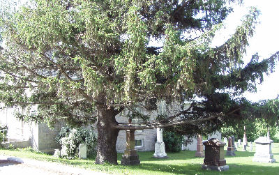Stone United Cemetery