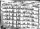 1920 US census - Family of David L. Ballard. Family of Garrison R. Ballard.